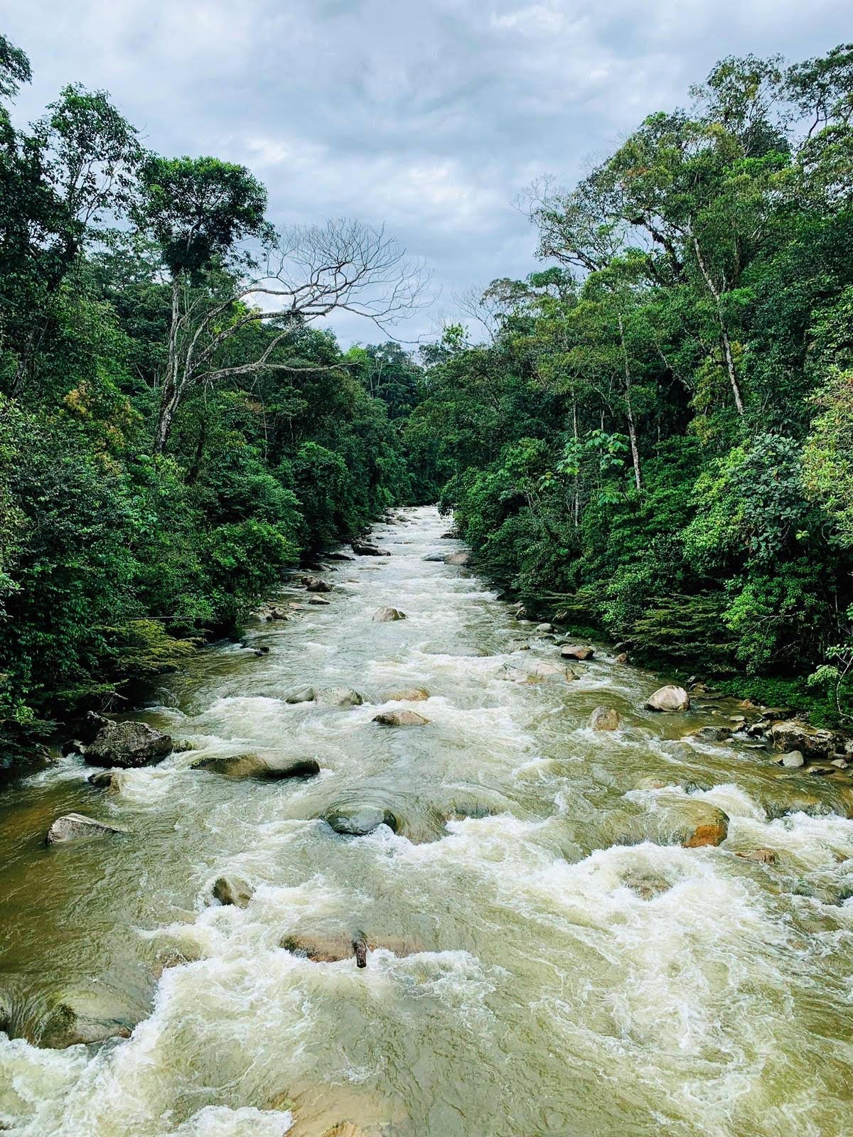 Women and Ecosystems - Amazon Frontlines